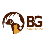 bg_fca